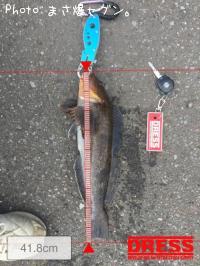 �����ʥ�