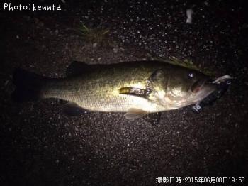 �֥�å��Х�