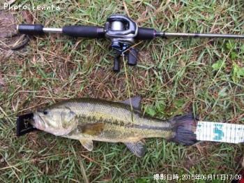 �֥�å��Х�