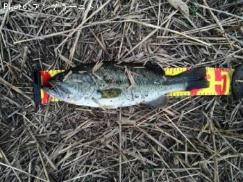 �֥�å��Х�