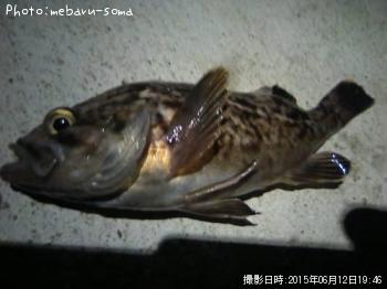 �����Υ���Х�