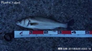 �����Х�