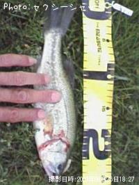 �֥�å��Х�