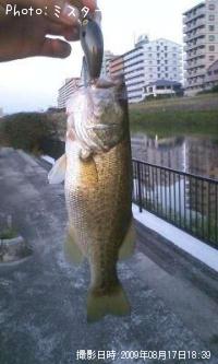 �֥�å��Х�