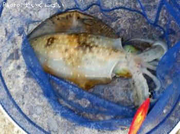 �����ꥤ��