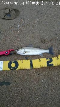 �����Х�