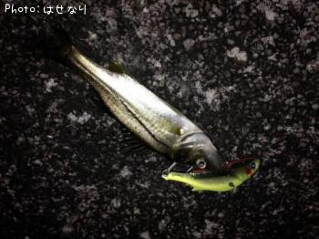 �����Х�