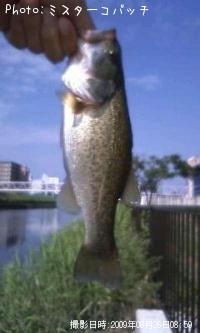 �֥�å��Х�