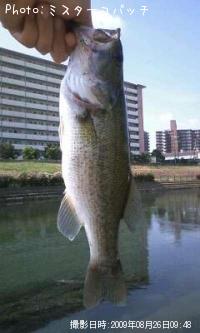 �֥�å��Х�