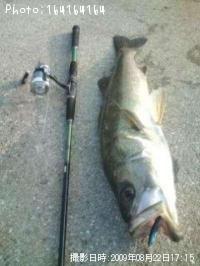 �����������Х�