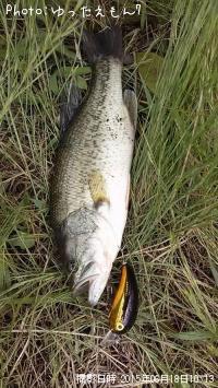 ¥Ö¥é¥Ã¥¯¥Ð¥¹