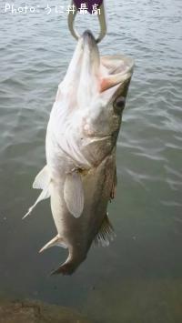 �����Х�