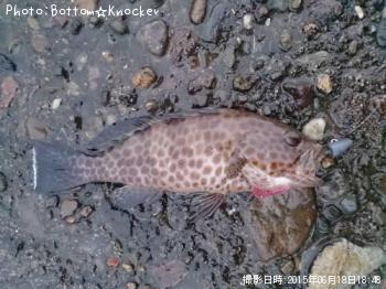 ¥ª¥ª¥â¥ó¥Ï¥¿