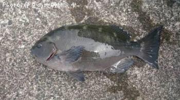 �����᥸��