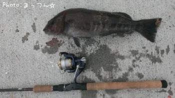 �����ʥ�