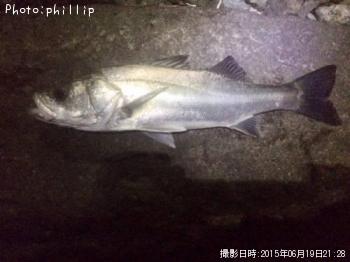 �����Х�