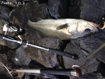 �����Х�