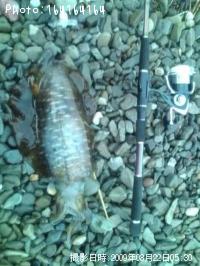 �����ꥤ��