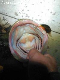 �֥�å��Х�