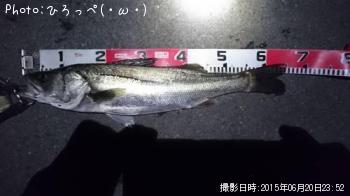 �����Х�