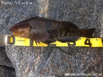 �����ʥ�