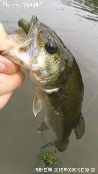 �֥�å��Х�