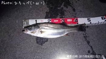 �����Х�