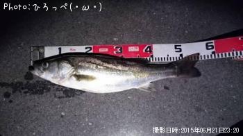 �����Х�