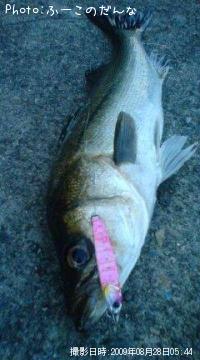 �����Х�