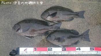 �����᥸��