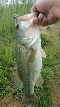 �֥�å��Х���