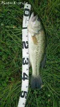 �֥�å��Х���