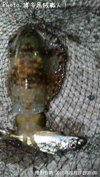 �����ꥤ��