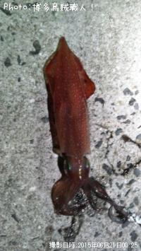 �����ꥤ��