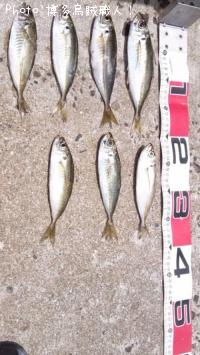 �����ꥤ��