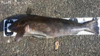 �����ʥ�