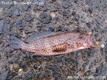 �������ϥ�