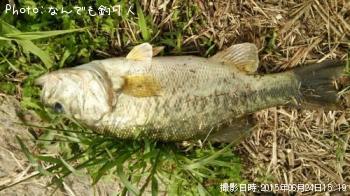 ¥Ö¥é¥Ã¥¯¥Ð¥¹