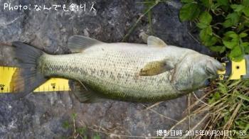 ¥Ö¥é¥Ã¥¯¥Ð¥¹