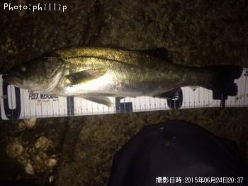 �����Х�