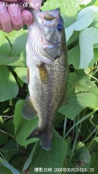 �֥�å��Х�