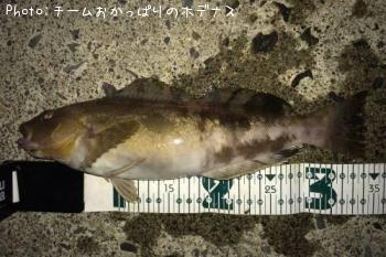 �����ʥ�