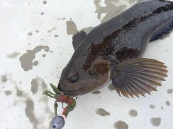 �����ʥ�