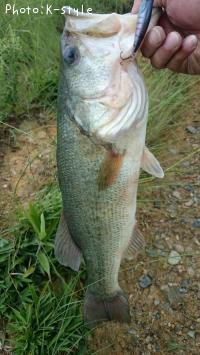 �֥�å��Х���