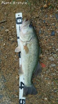 �֥�å��Х���