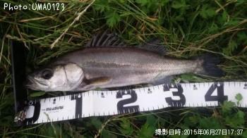 �����Х�