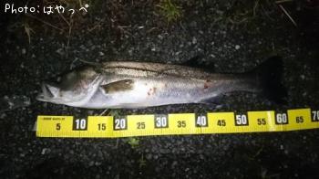 �����Х�