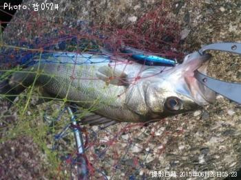 �����Х�