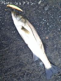 �����Х�