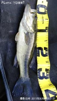 �֥�å��Х�